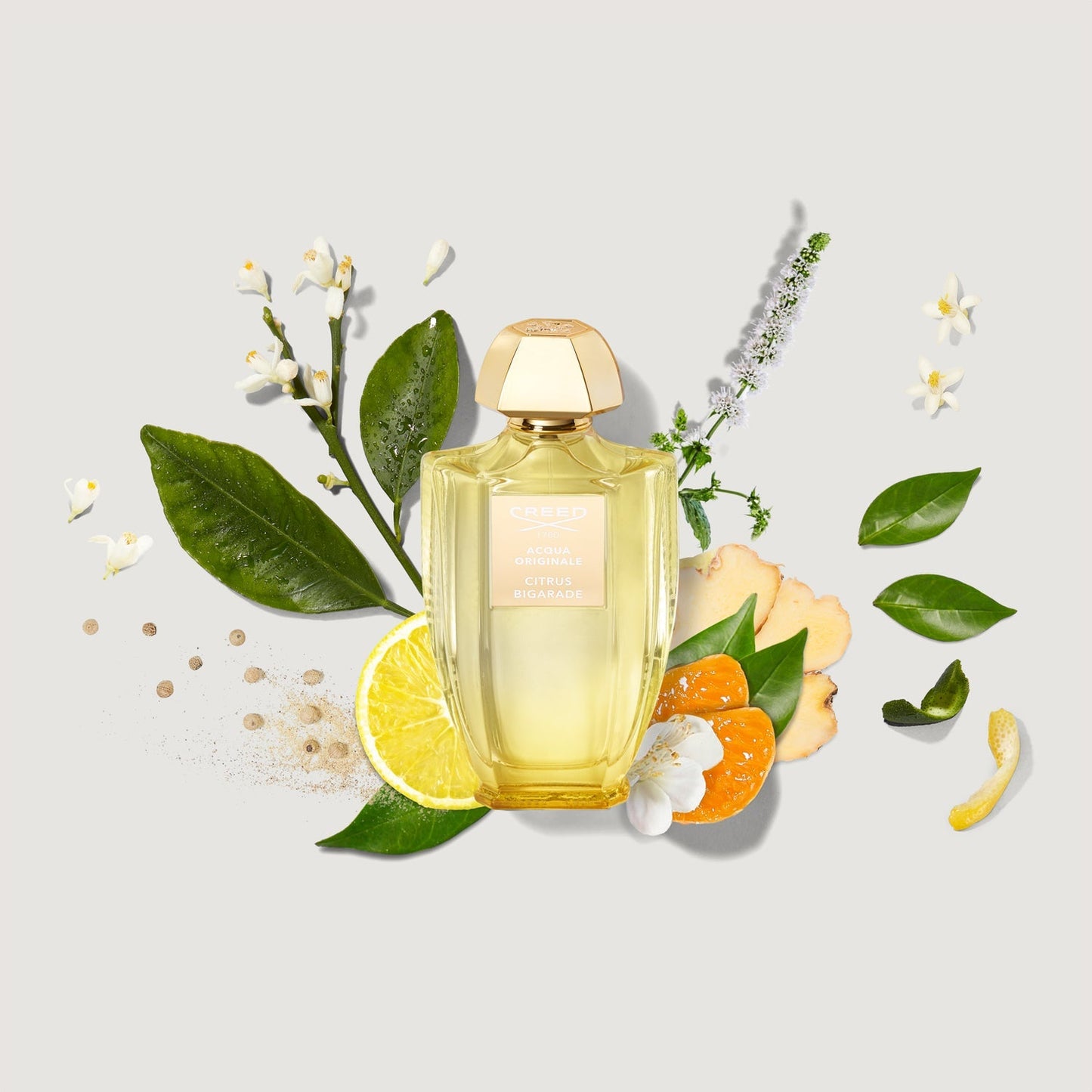 Citrus Bigarade Eau de Parfum By Creed – Unisex