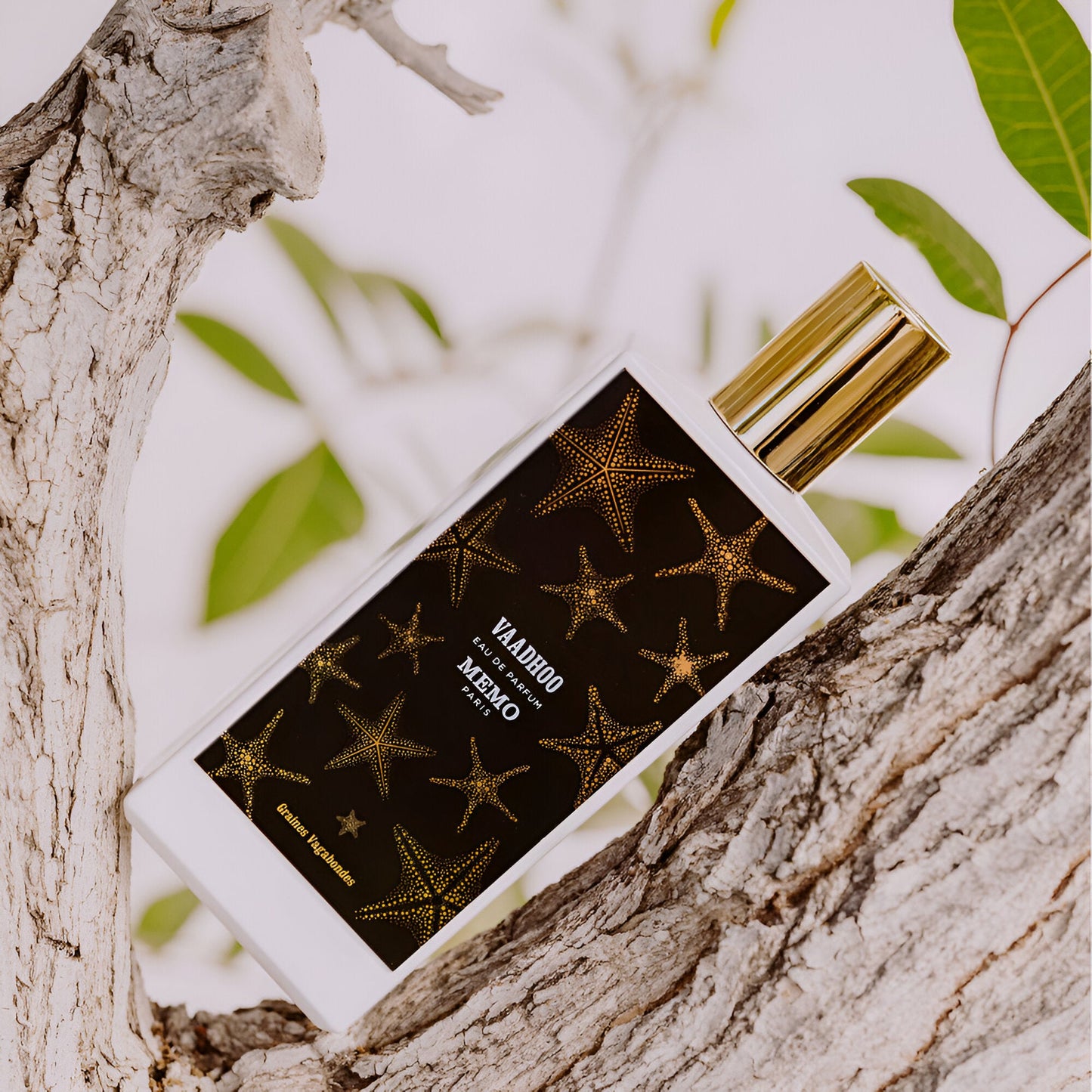 Memo Paris Vaadhoo Eau de Parfum By Memo Paris – Unisex